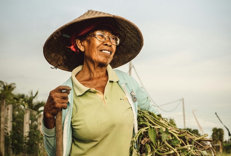 Seorang perempuan yang bekerja di ladang padi.